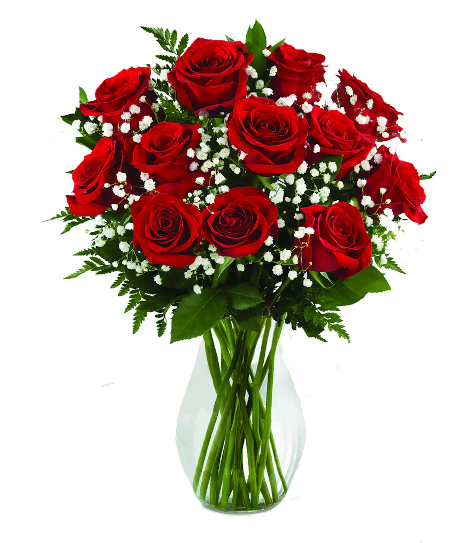 DF 37- 12 Red Roses in a vase 
